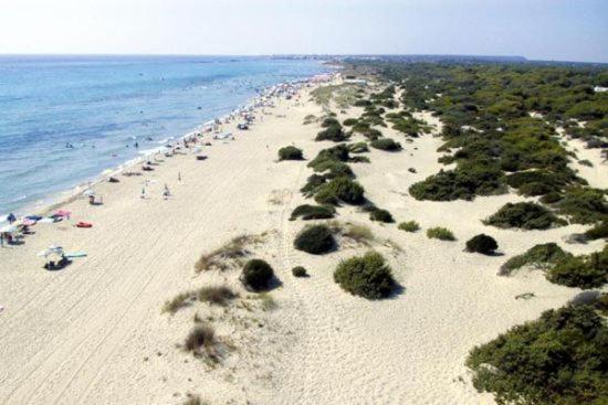 Felline In Bed&Breakfast Dimora Di Charme El Salento Dış mekan fotoğraf
