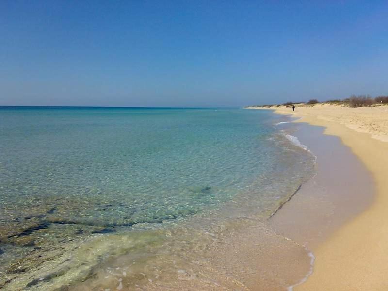 Felline In Bed&Breakfast Dimora Di Charme El Salento Dış mekan fotoğraf